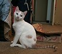 Img_7904_nilo