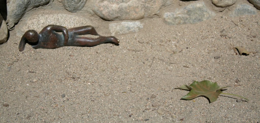 Size_5341